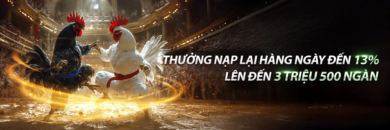 Hình ảnh cá cược thể thao trực tuyến sôi động